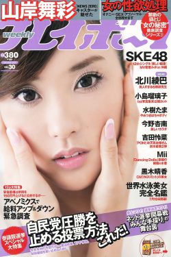 杨门女将电视剧